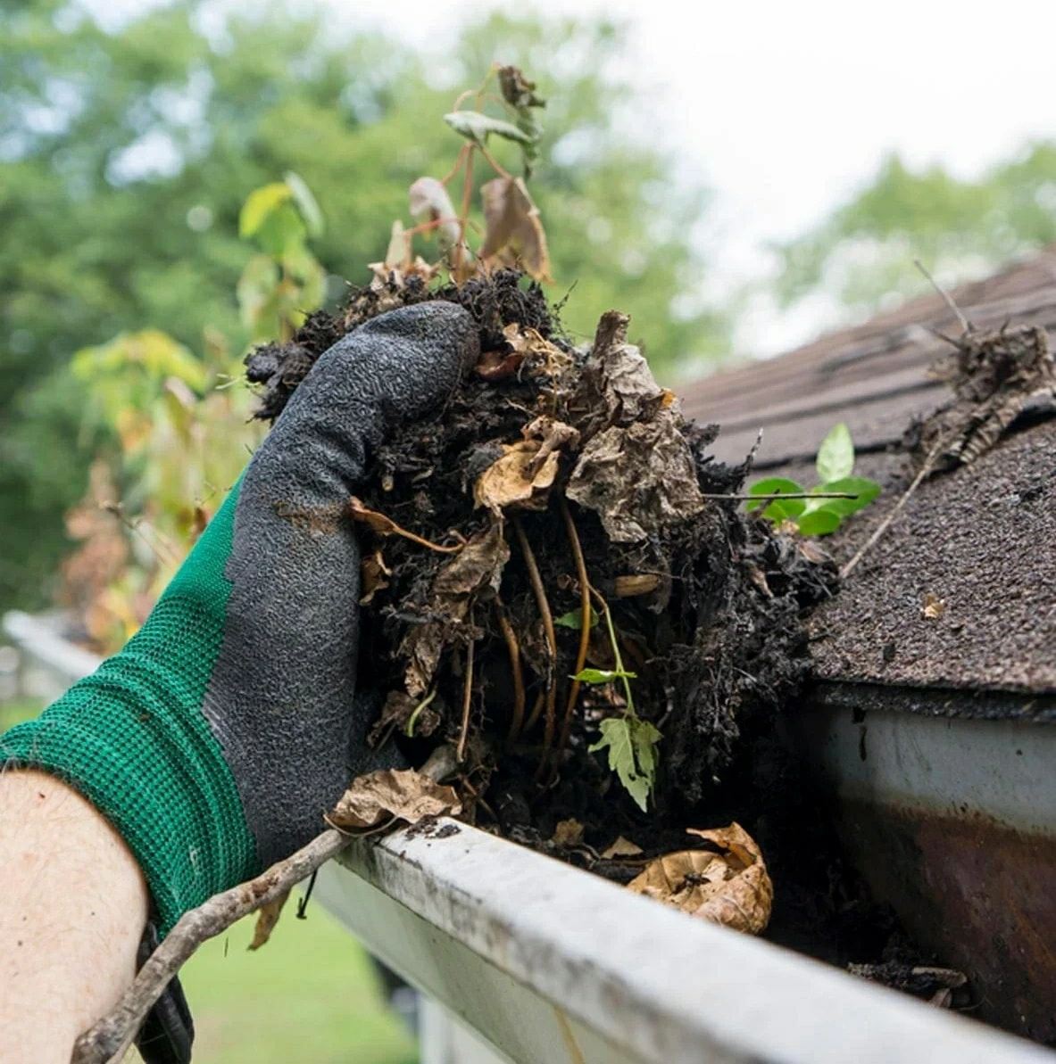 gutter cleaning savannah tn